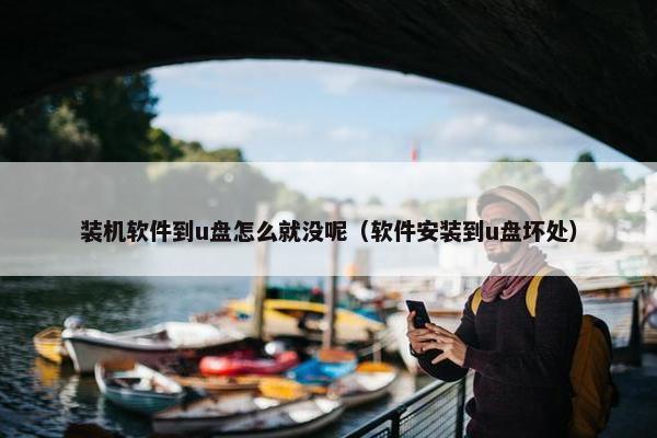 装机软件到u盘怎么就没呢（软件安装到u盘坏处）