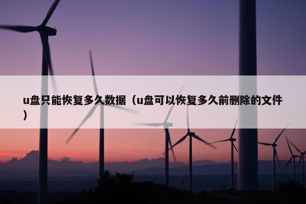 u盘只能恢复多久数据（u盘可以恢复多久前删除的文件）