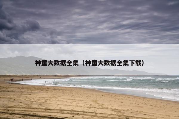 神童大数据全集（神童大数据全集下载）