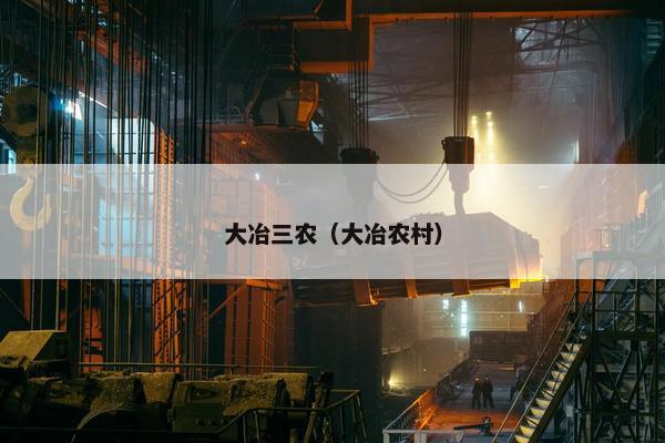 大冶三农（大冶农村）