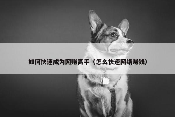 如何快速成为网赚高手（怎么快速网络赚钱）