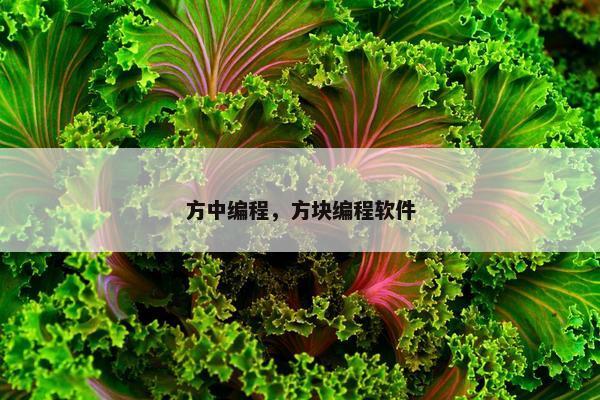 方中编程，方块编程软件