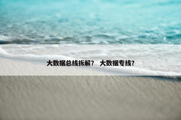 大数据总线拆解？ 大数据专线？
