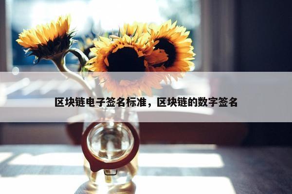 区块链电子签名标准，区块链的数字签名