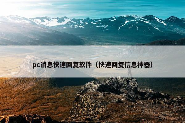 pc消息快速回复软件（快速回复信息神器）