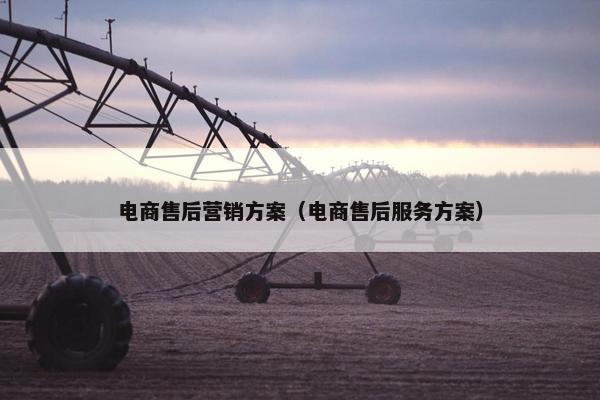 电商售后营销方案（电商售后服务方案）