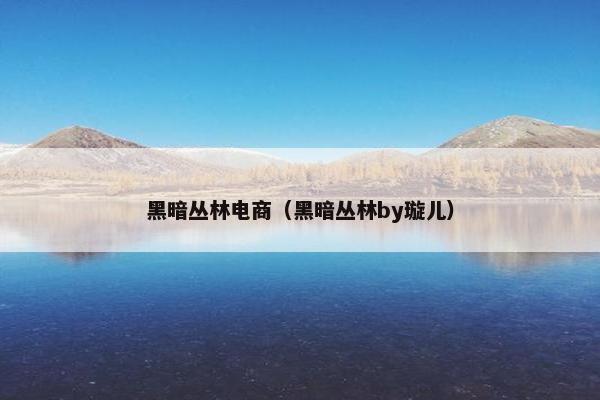 黑暗丛林电商（黑暗丛林by璇儿）