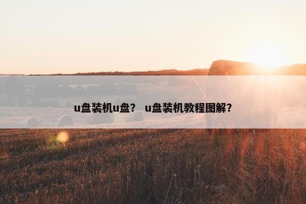u盘装机u盘？ u盘装机教程图解？