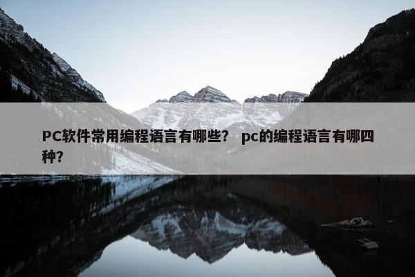 PC软件常用编程语言有哪些？ pc的编程语言有哪四种？