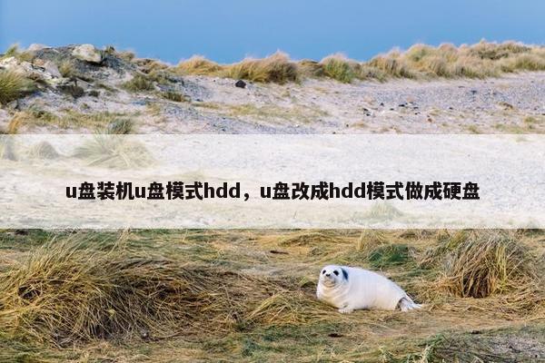 u盘装机u盘模式hdd，u盘改成hdd模式做成硬盘
