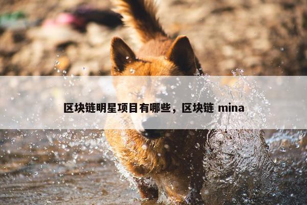 区块链明星项目有哪些，区块链 mina