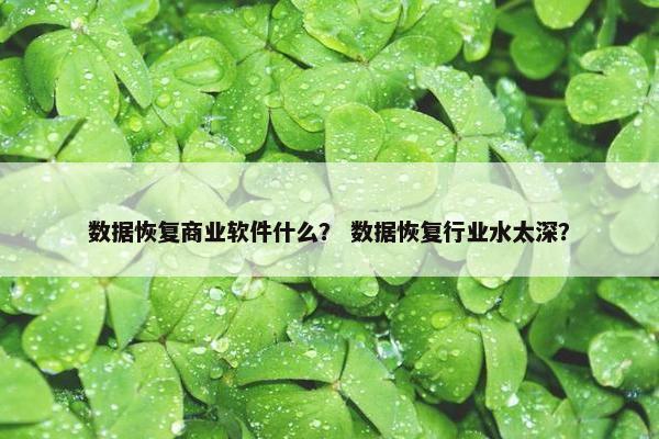数据恢复商业软件什么？ 数据恢复行业水太深？