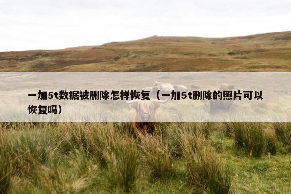 一加5t数据被删除怎样恢复（一加5t删除的照片可以恢复吗）