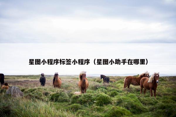 星图小程序标签小程序（星图小助手在哪里）
