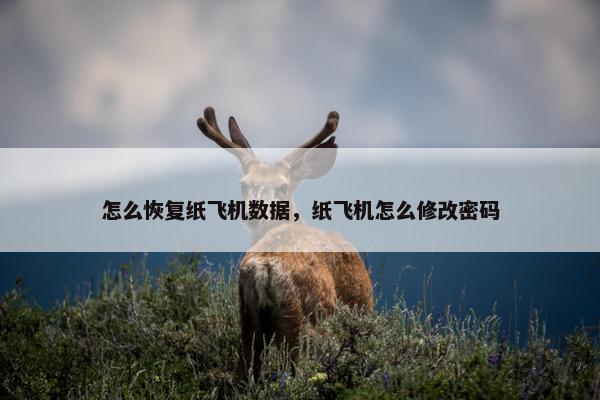 怎么恢复纸飞机数据，纸飞机怎么修改密码