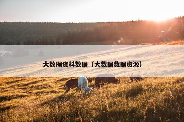 大数据资料数据（大数据数据资源）