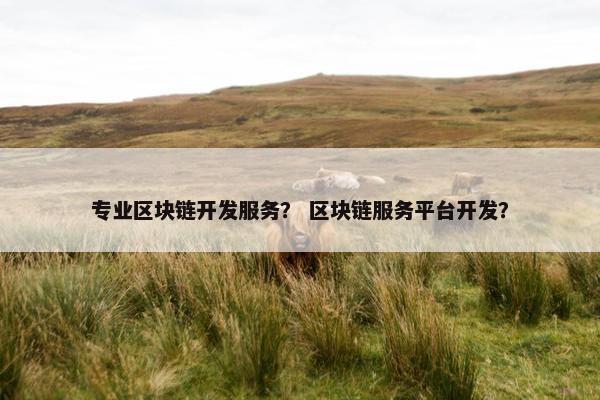 专业区块链开发服务？ 区块链服务平台开发？