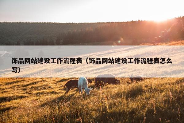 饰品网站建设工作流程表（饰品网站建设工作流程表怎么写）