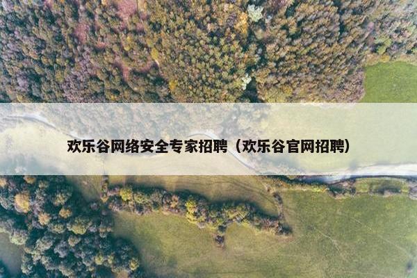 欢乐谷网络安全专家招聘（欢乐谷官网招聘）