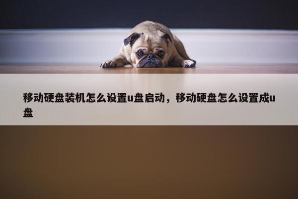 移动硬盘装机怎么设置u盘启动，移动硬盘怎么设置成u盘