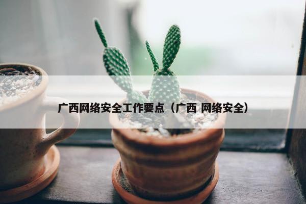 广西网络安全工作要点（广西 网络安全）