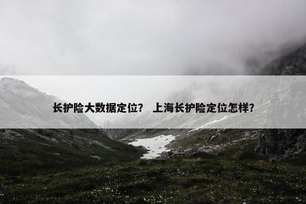 长护险大数据定位？ 上海长护险定位怎样？