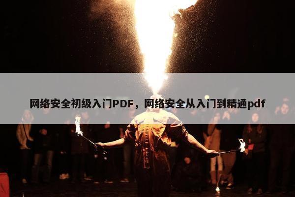 网络安全初级入门PDF，网络安全从入门到精通pdf