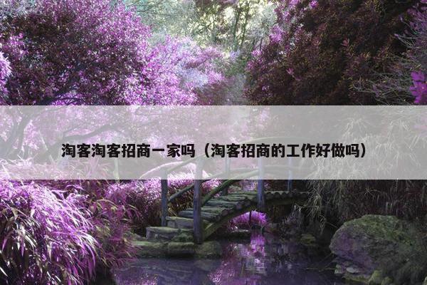 淘客淘客招商一家吗（淘客招商的工作好做吗）