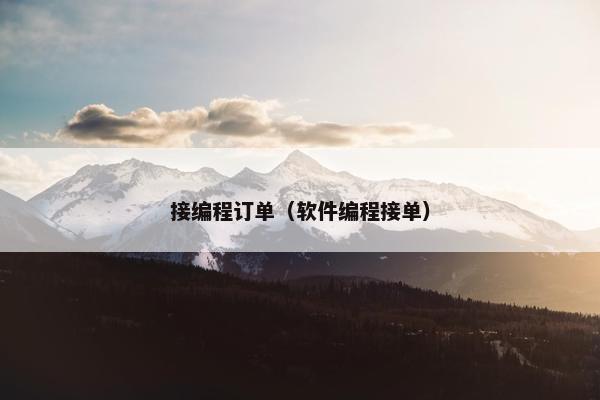 接编程订单（软件编程接单）