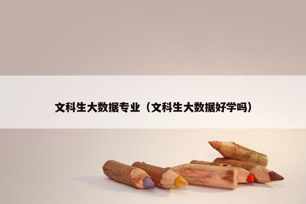 文科生大数据专业（文科生大数据好学吗）