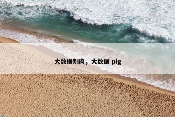 大数据割肉，大数据 pig
