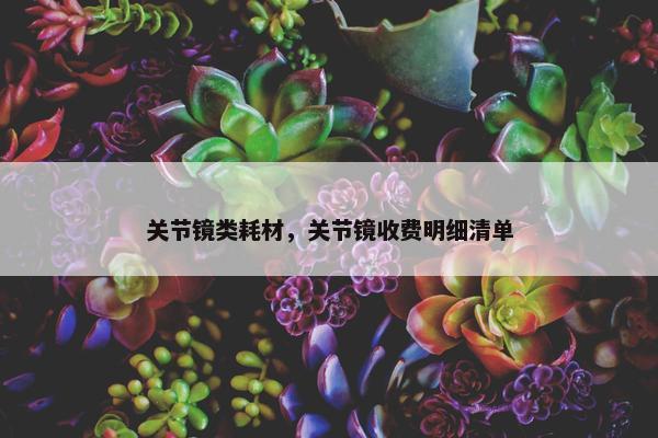 关节镜类耗材，关节镜收费明细清单