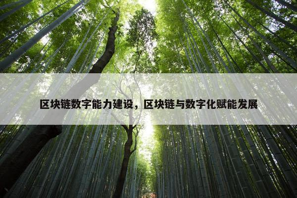 区块链数字能力建设，区块链与数字化赋能发展