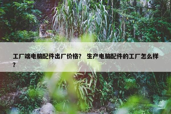 工厂端电脑配件出厂价格？ 生产电脑配件的工厂怎么样？