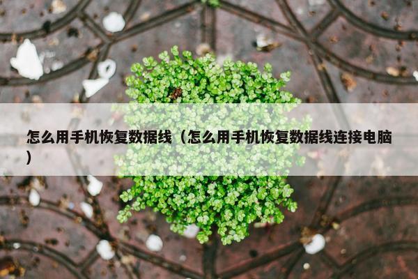 怎么用手机恢复数据线（怎么用手机恢复数据线连接电脑）