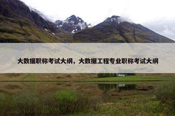 大数据职称考试大纲，大数据工程专业职称考试大纲