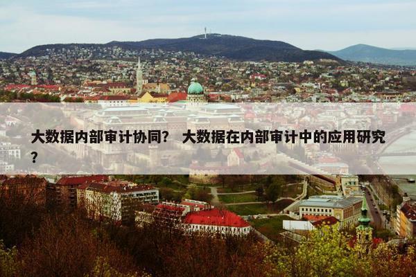 大数据内部审计协同？ 大数据在内部审计中的应用研究？