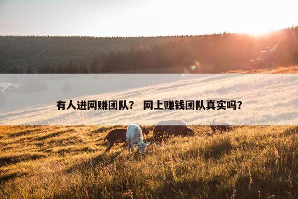 有人进网赚团队？ 网上赚钱团队真实吗？