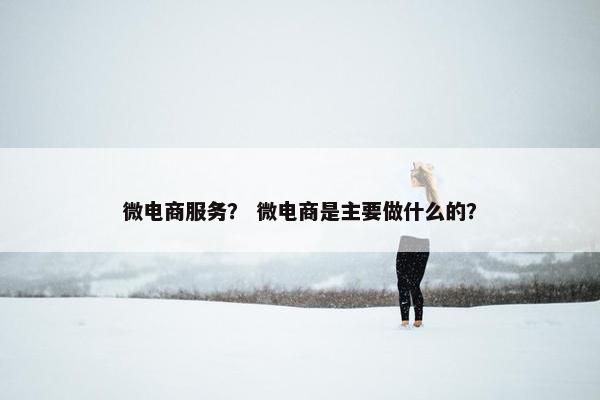 微电商服务？ 微电商是主要做什么的？