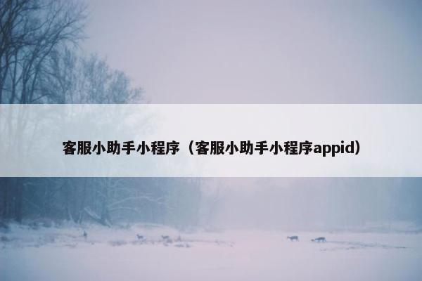 客服小助手小程序（客服小助手小程序appid）