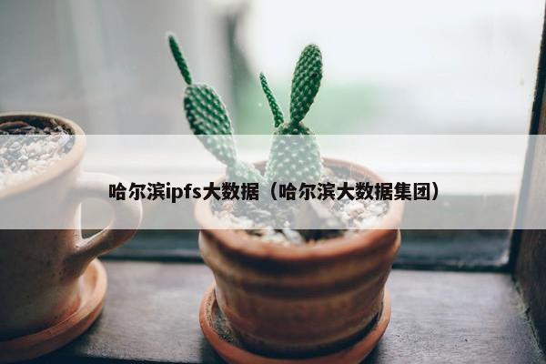 哈尔滨ipfs大数据（哈尔滨大数据集团）