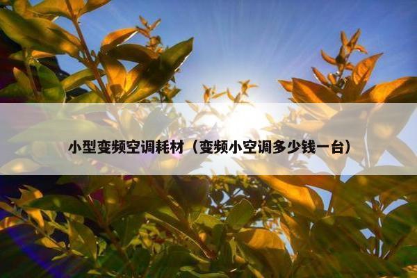 小型变频空调耗材（变频小空调多少钱一台）