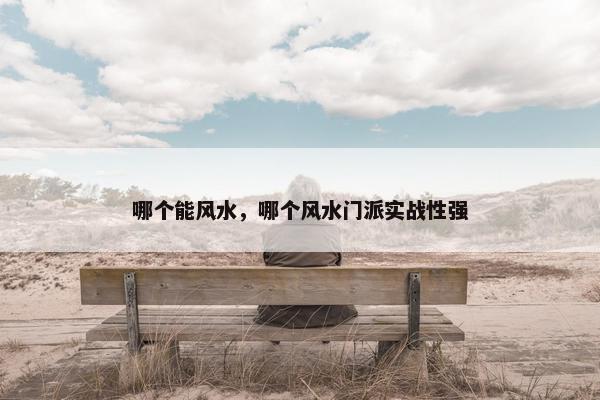 哪个能风水，哪个风水门派实战性强