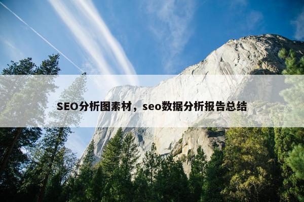 SEO分析图素材，seo数据分析报告总结