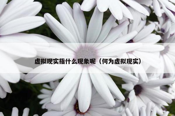 虚拟现实指什么现象呢（何为虚拟现实）