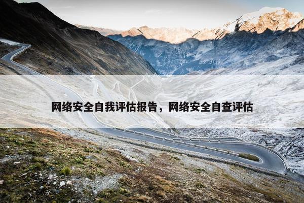 网络安全自我评估报告，网络安全自查评估