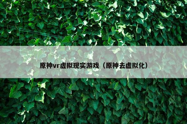 原神vr虚拟现实游戏（原神去虚拟化）