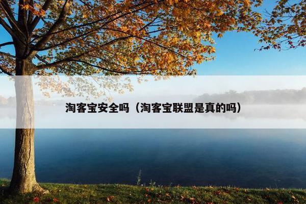 淘客宝安全吗（淘客宝联盟是真的吗）