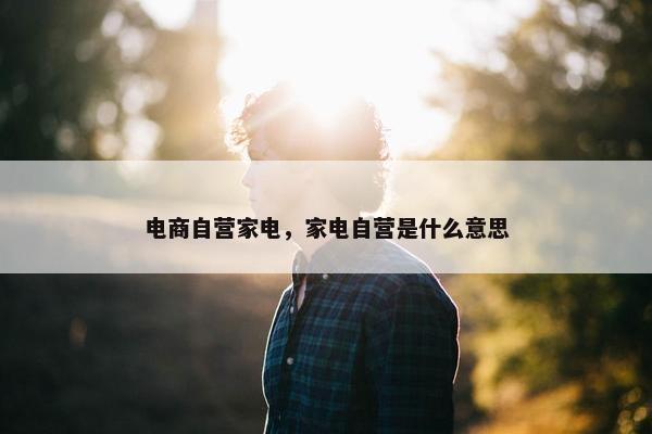 电商自营家电，家电自营是什么意思