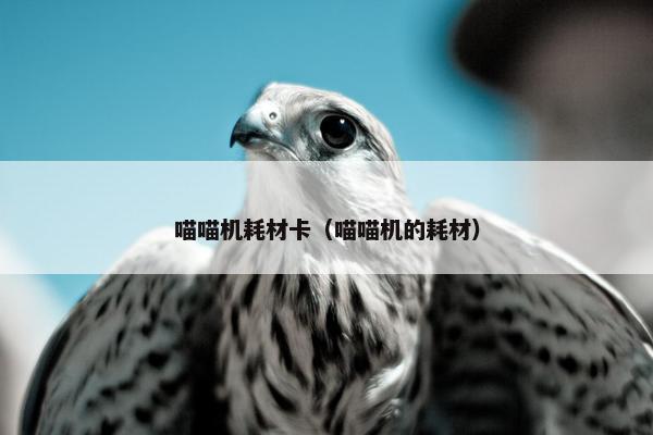 喵喵机耗材卡（喵喵机的耗材）